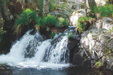Rincón de la Garganta La Puria