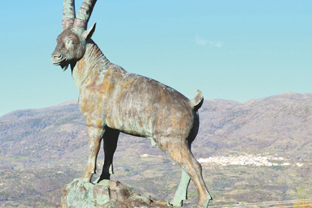 Escultura en bronce de macho montés (Capra pyrenaica victoriae)